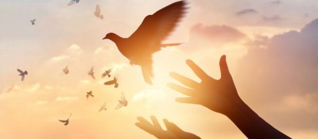 Christ-Centered Advanced Mandarin Certificate Course
Start Date: January 10, 2026, EST 2:30-5:30pm
Location: Zoom + In-person