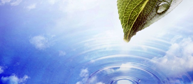【Christ-Centered Credit-Based Foundation Certificate Program】
"Christ-Centered Caring" Mandarin Course
Date: October 25 and November 1, 2025, 2:30-5:30 PM EST
Location: Zoom