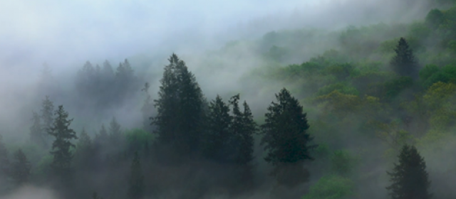 【以基督為中心的學分制基礎證書課程】之 
《悲痛》國語課程 
日期：2026年3月7日 ，EST 2:30-5:30pm 
地點：Zoom